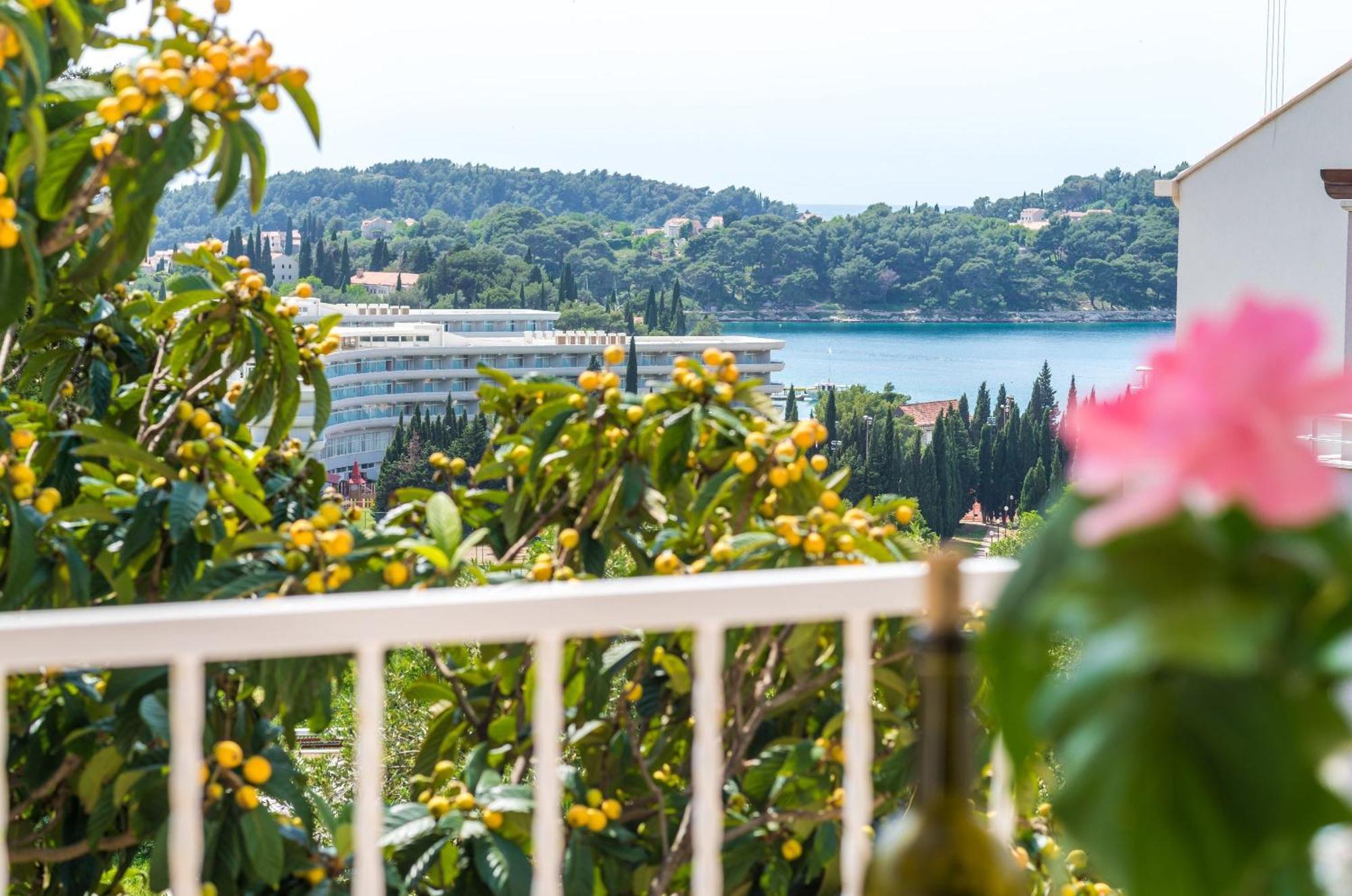 Villa Bind Cavtat Szoba fotó